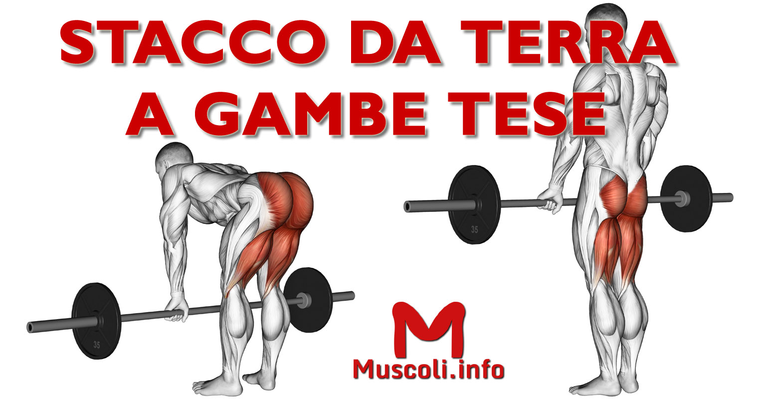 Stacco da terra con bilanciere a gambe tese - esercizio per gambe